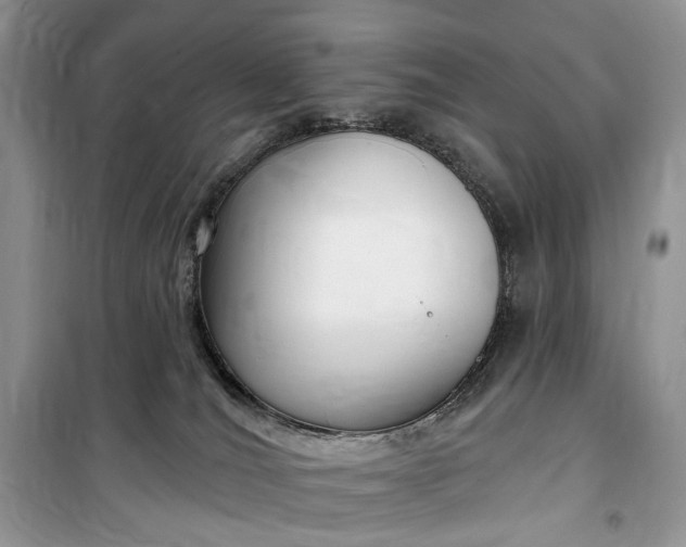 X0000099520036200805291221