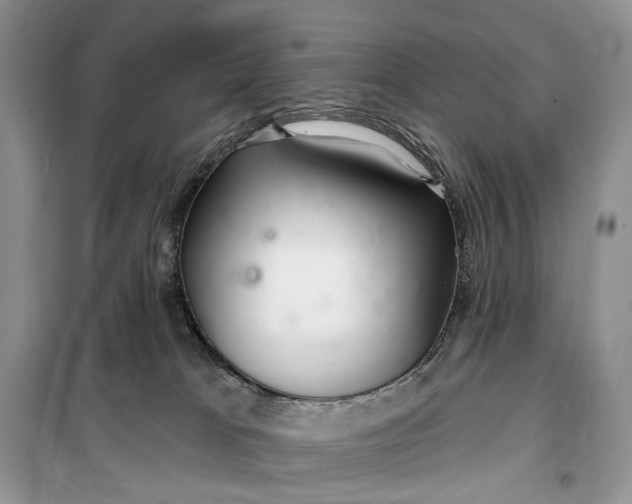 X0000099520037200805291221