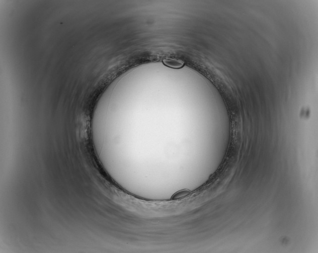 X0000099520038200805291220