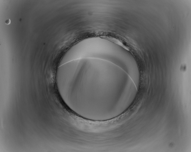 X0000099520039200805291220