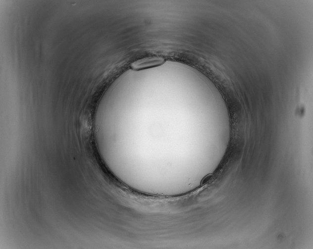 X0000099520040200805291220