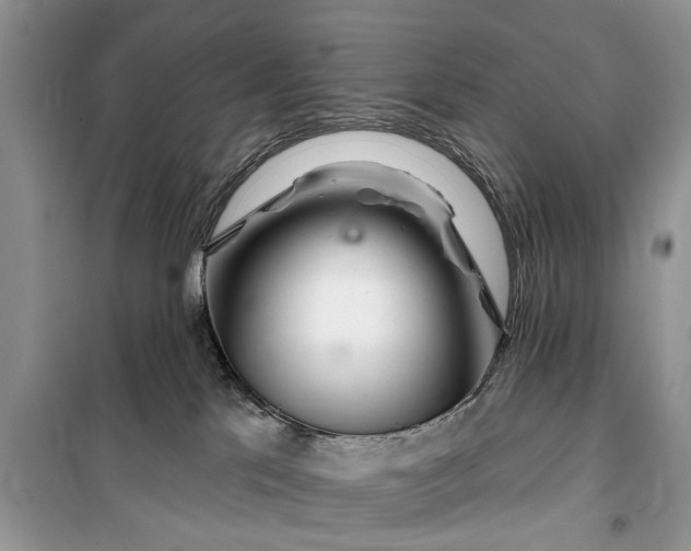 X0000099520041200805291220