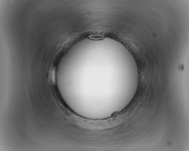 X0000099520042200805291220