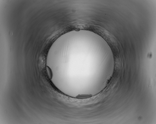 X0000099520043200805291220