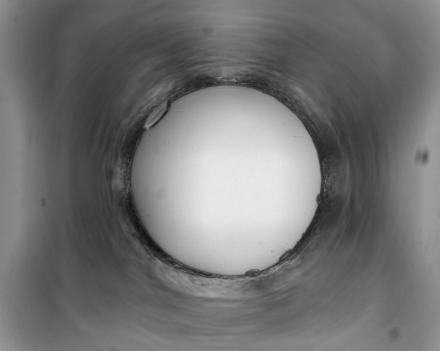 X0000099520044200805291220