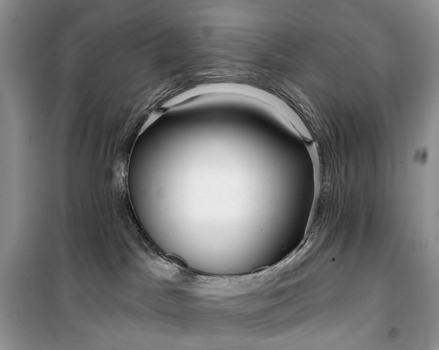 X0000099520045200805291220