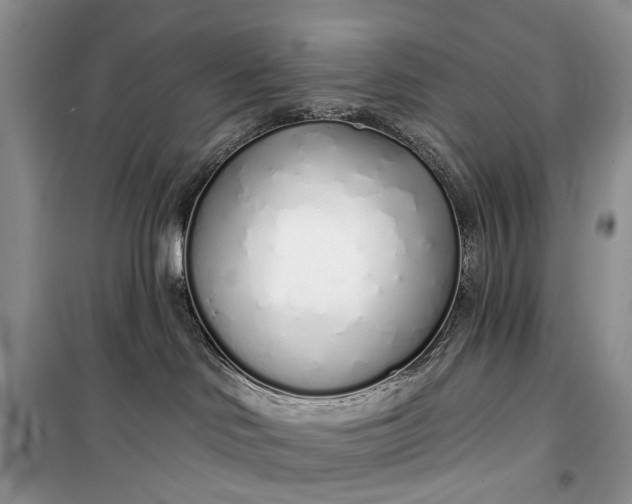 X0000099520046200805291220