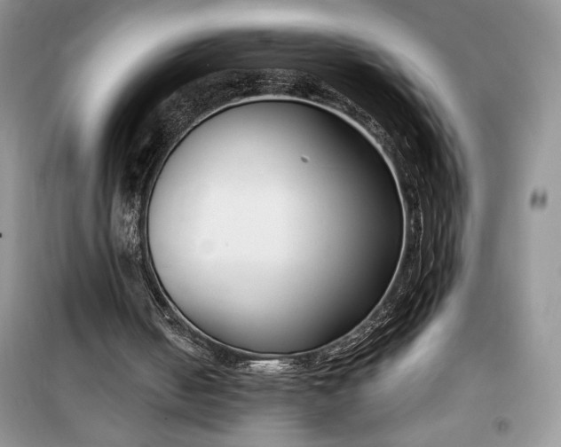 X0000099520050200805291220