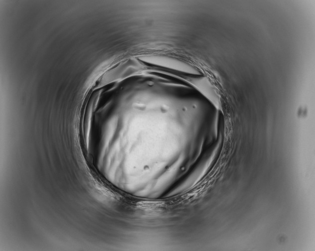 X0000099520051200805291220