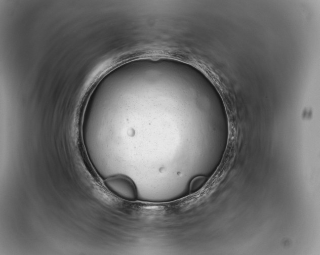 X0000099520053200805291220