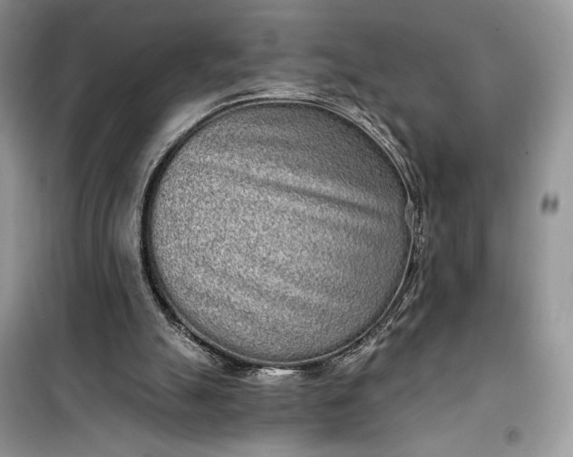 X0000099520055200805291220