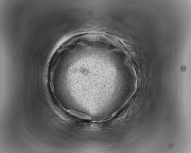 X0000099520056200805291220