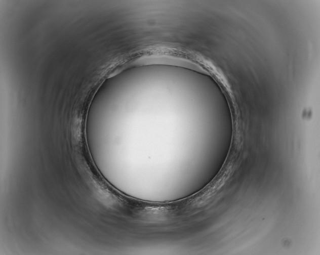 X0000099520057200805291220