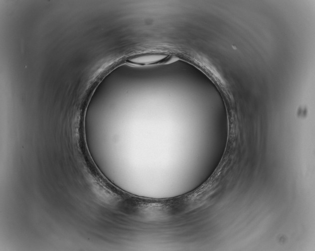 X0000099520058200805291220