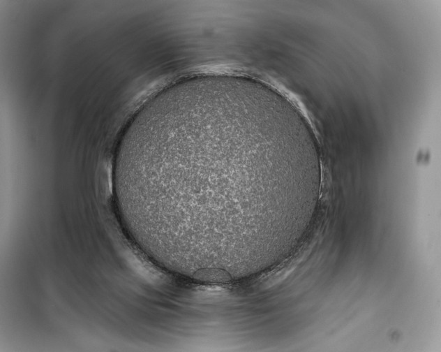 X0000099520061200805291220