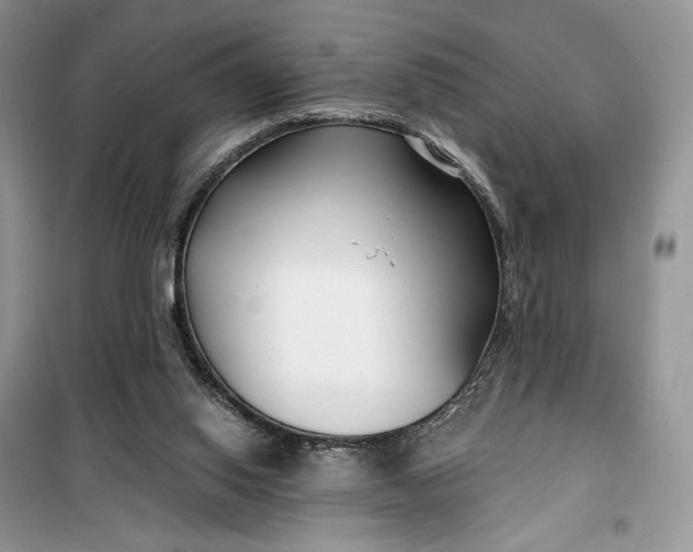 X0000099520062200805291220