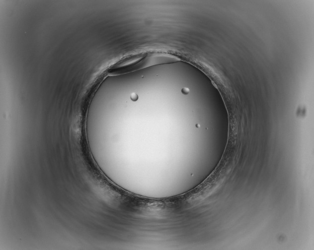 X0000099520064200805291220