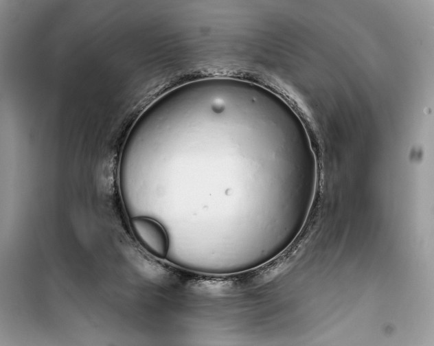 X0000099520065200805291220