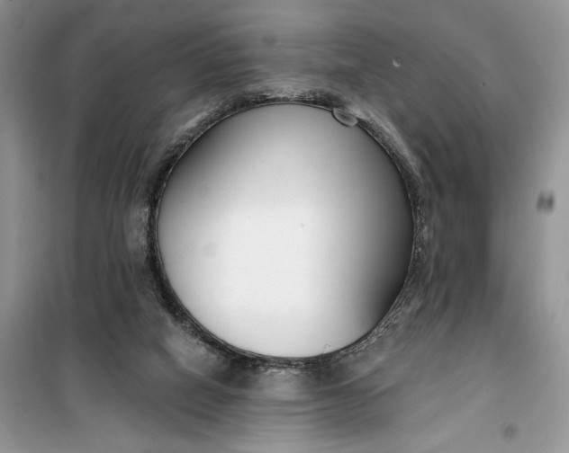 X0000099520066200805291220