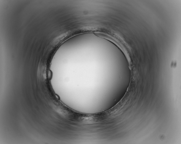 X0000099520068200805291220