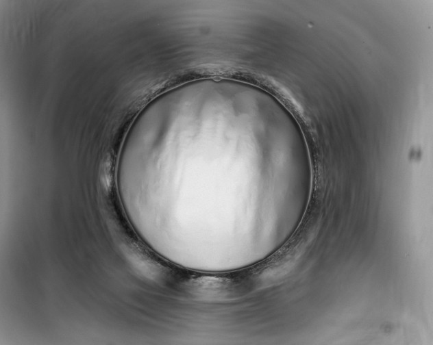 X0000099520069200805291220