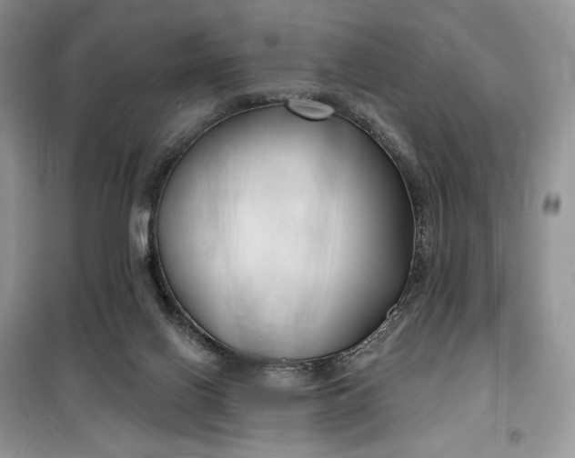 X0000099520070200805291220