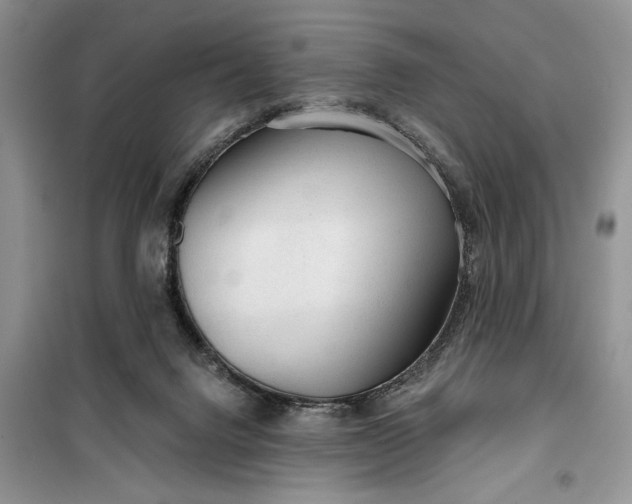 X0000099520072200805291220