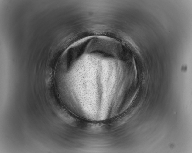 X0000099520073200805291220