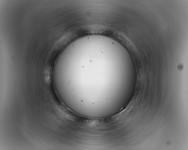 X0000099520074200805291220