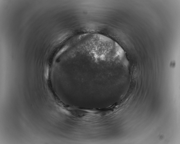 X0000099520076200805291220