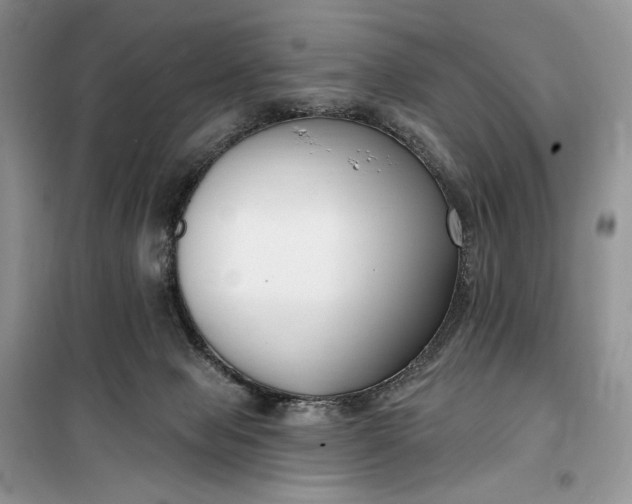 X0000099520077200805291220