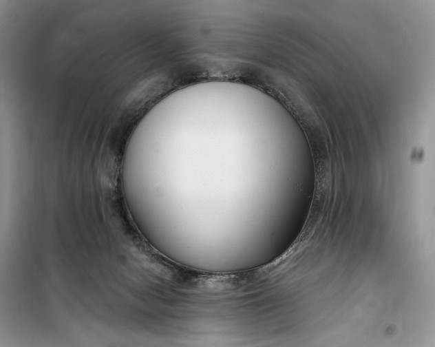 X0000099520078200805291220