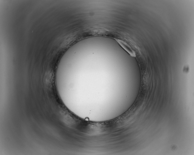 X0000099520079200805291220