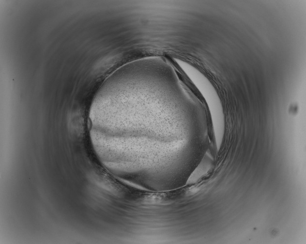 X0000099520080200805291220