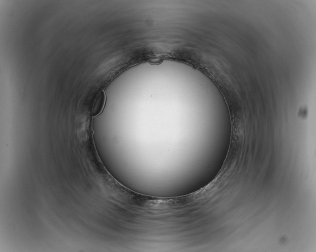 X0000099520082200805291220