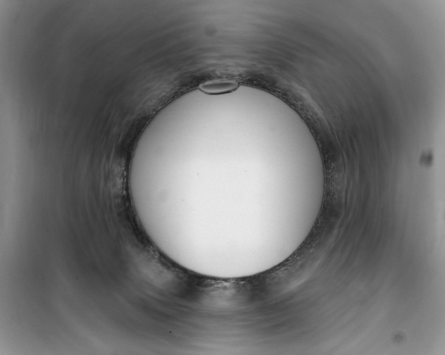 X0000099520083200805291220