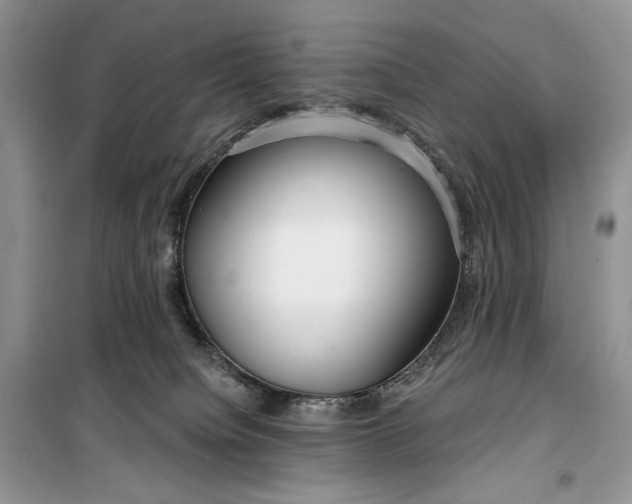 X0000099520084200805291220