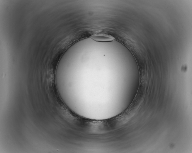 X0000099520085200805291220