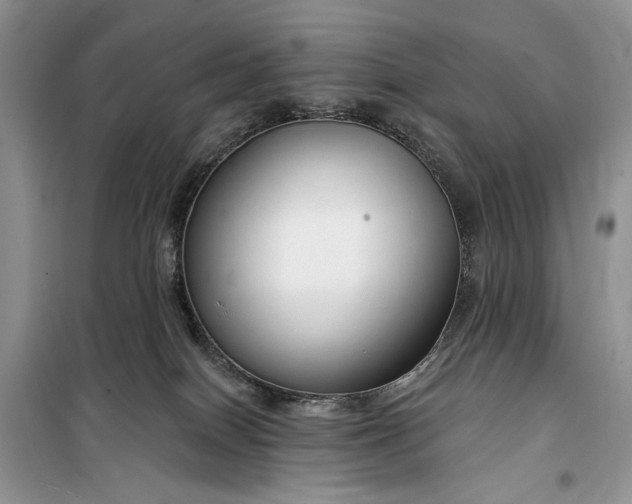 X0000099520086200805291220