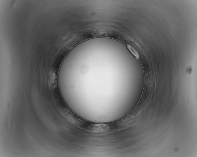 X0000099520087200805291220