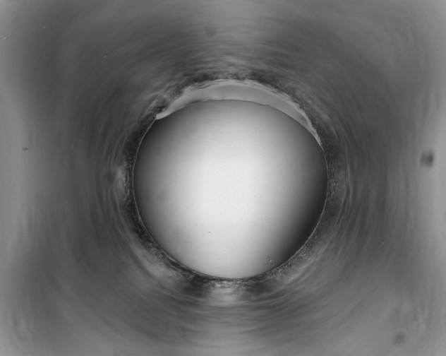 X0000099520088200805291220