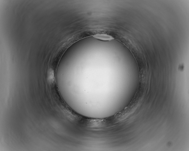 X0000099520089200805291220