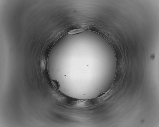 X0000099520090200805291220