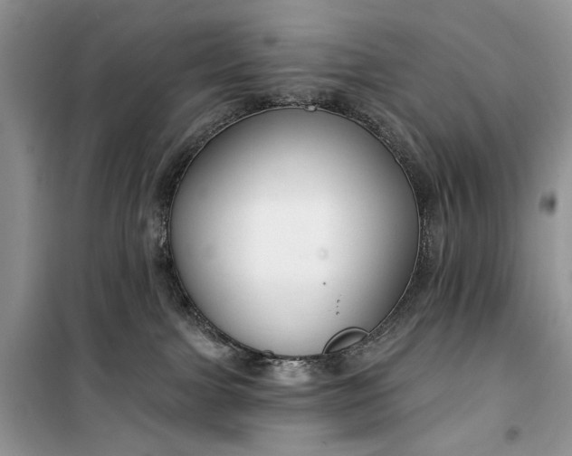 X0000099520091200805291220