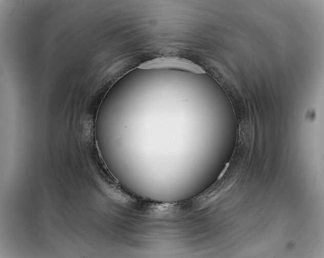 X0000099520092200805291220