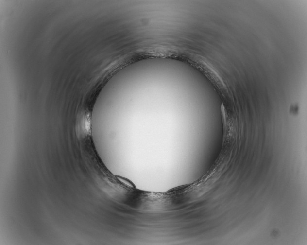 X0000099520095200805291220