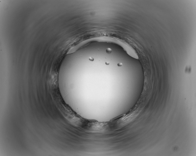 X0000099520096200805291220