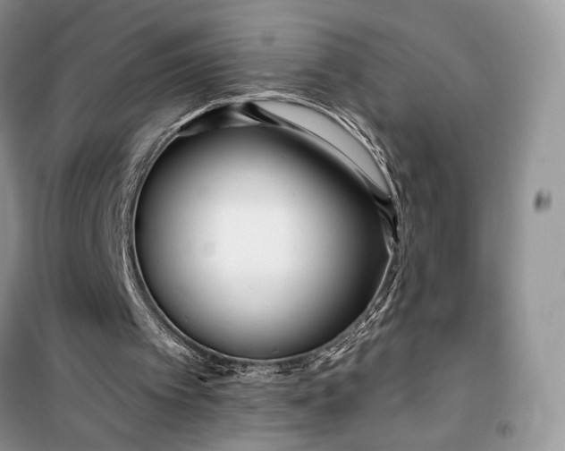 X0000099520097200805291220