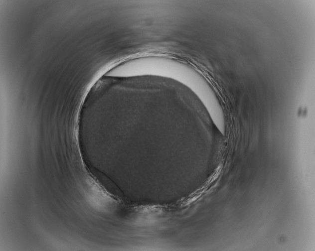 X0000099520100200805291219