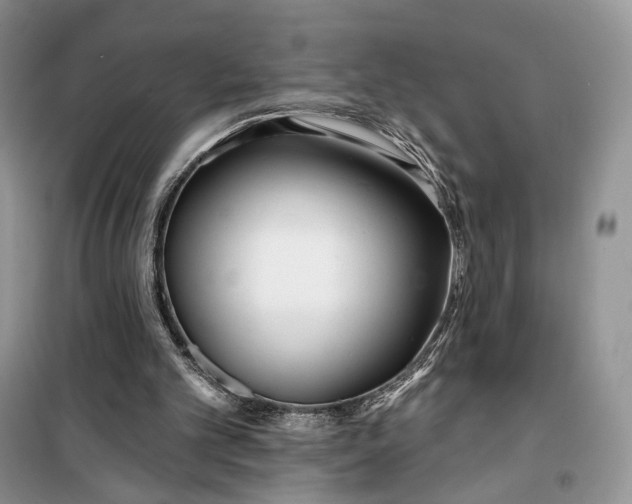 X0000099520101200805291219